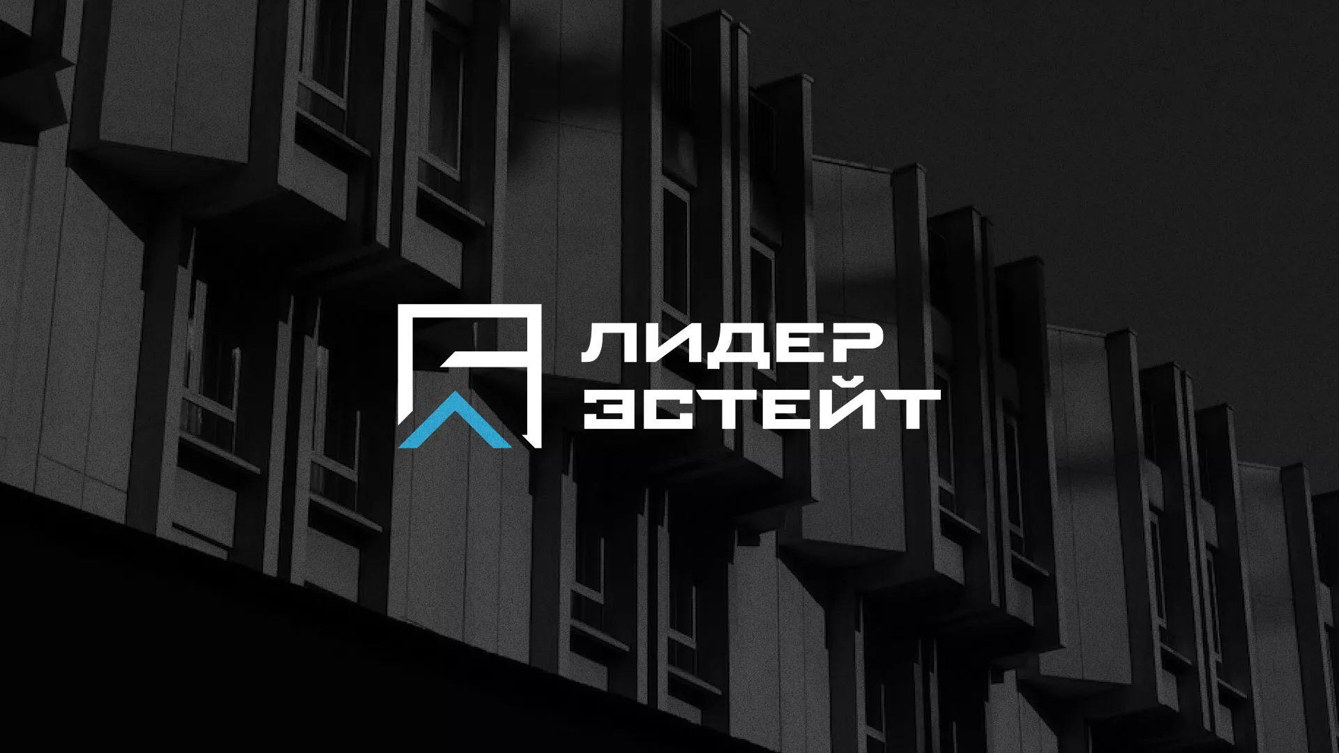 Разработка логотипа агентства недвижимости «Лидер Эстейт» в Усинске
